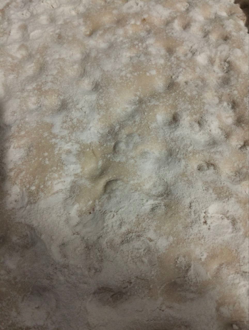 FOCACCIA ARTIGIANALE TIPO GENOVESE 500 gr.